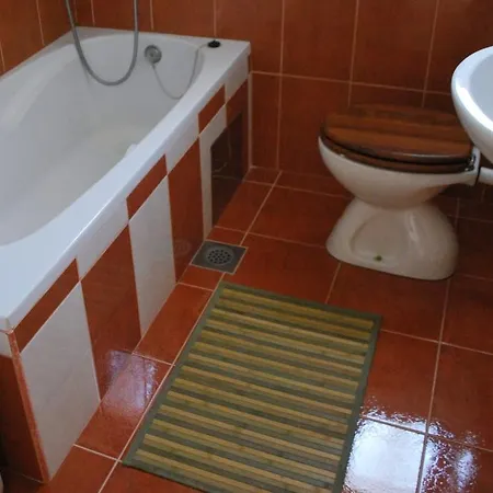 Apartamento Slavica Šajini